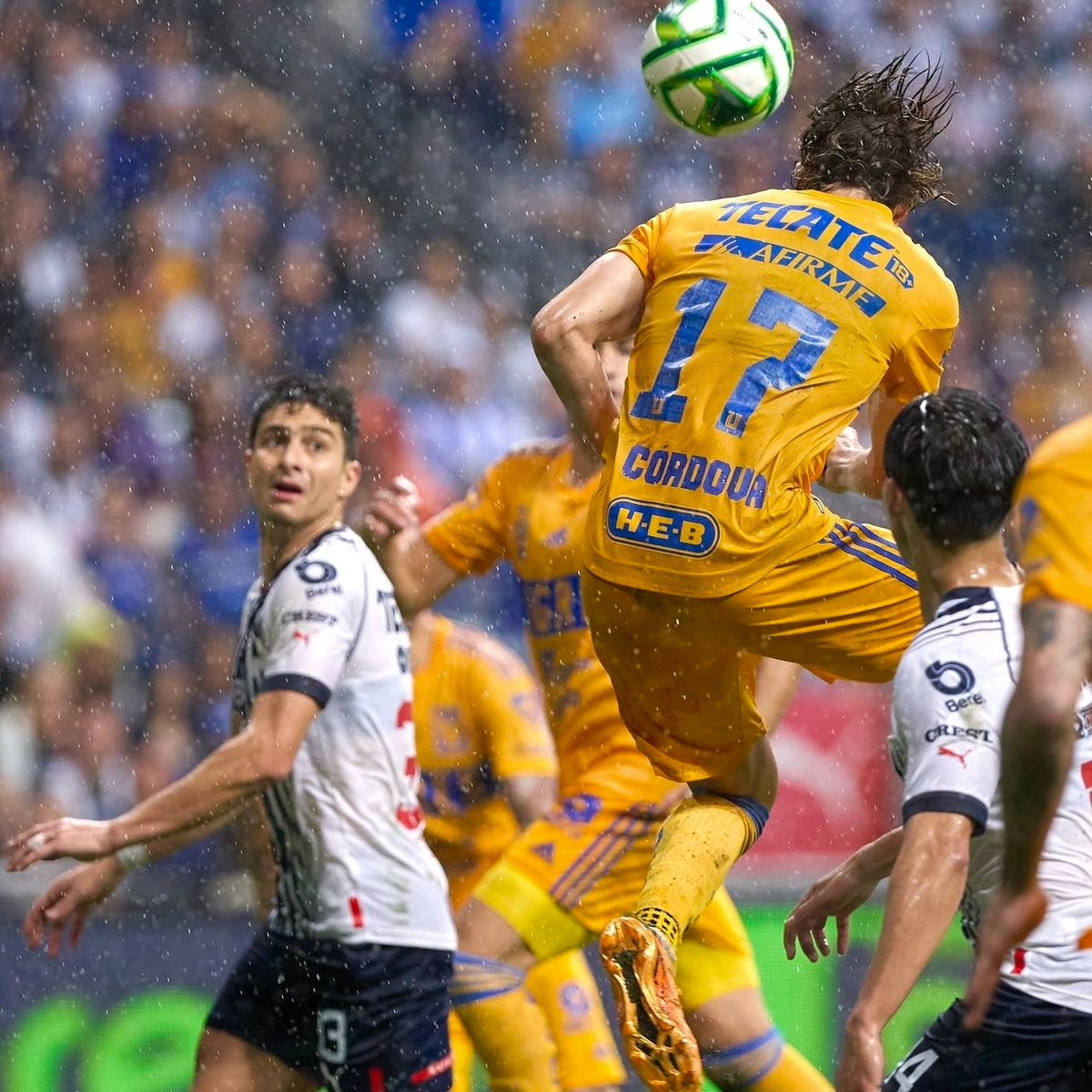 Liga MX