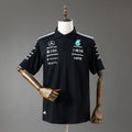 F1 - Mercedes