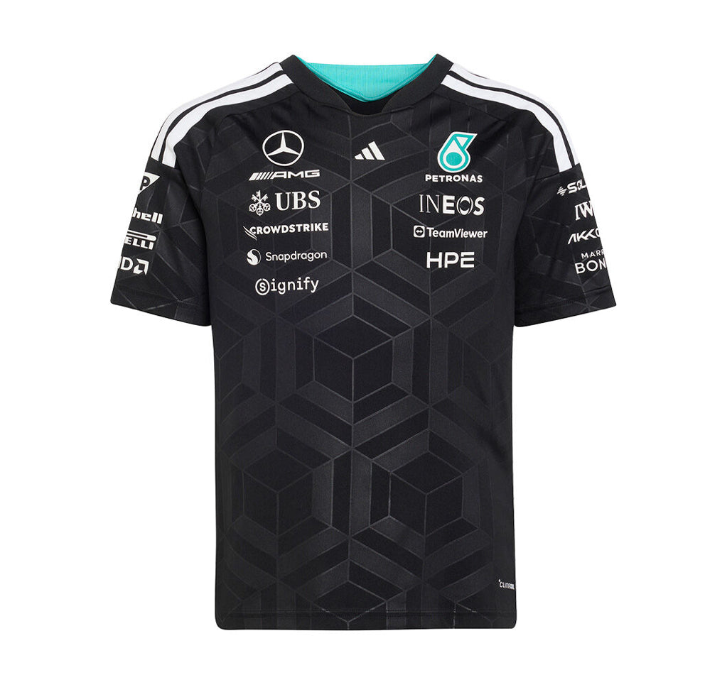 F1 - Mercedes