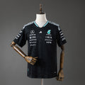 F1 - Mercedes