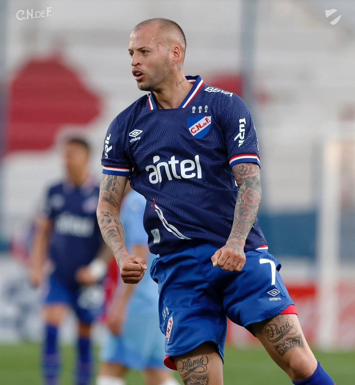 Jersey - Nacional