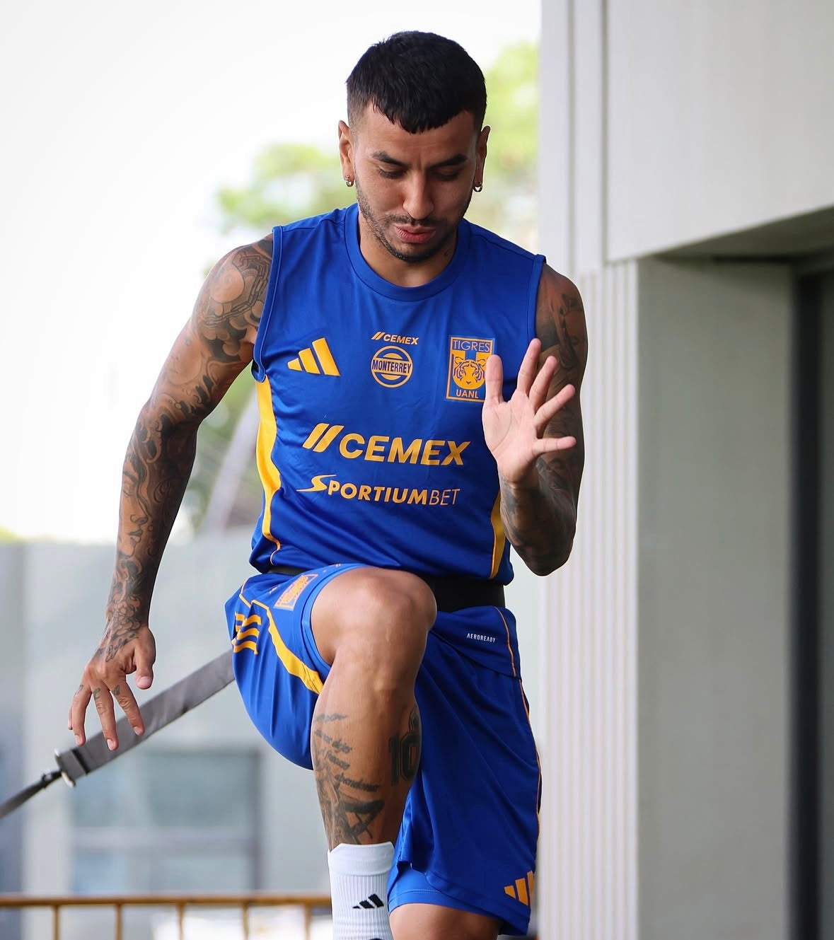 Tigres UANL Sleeveless Training Kit